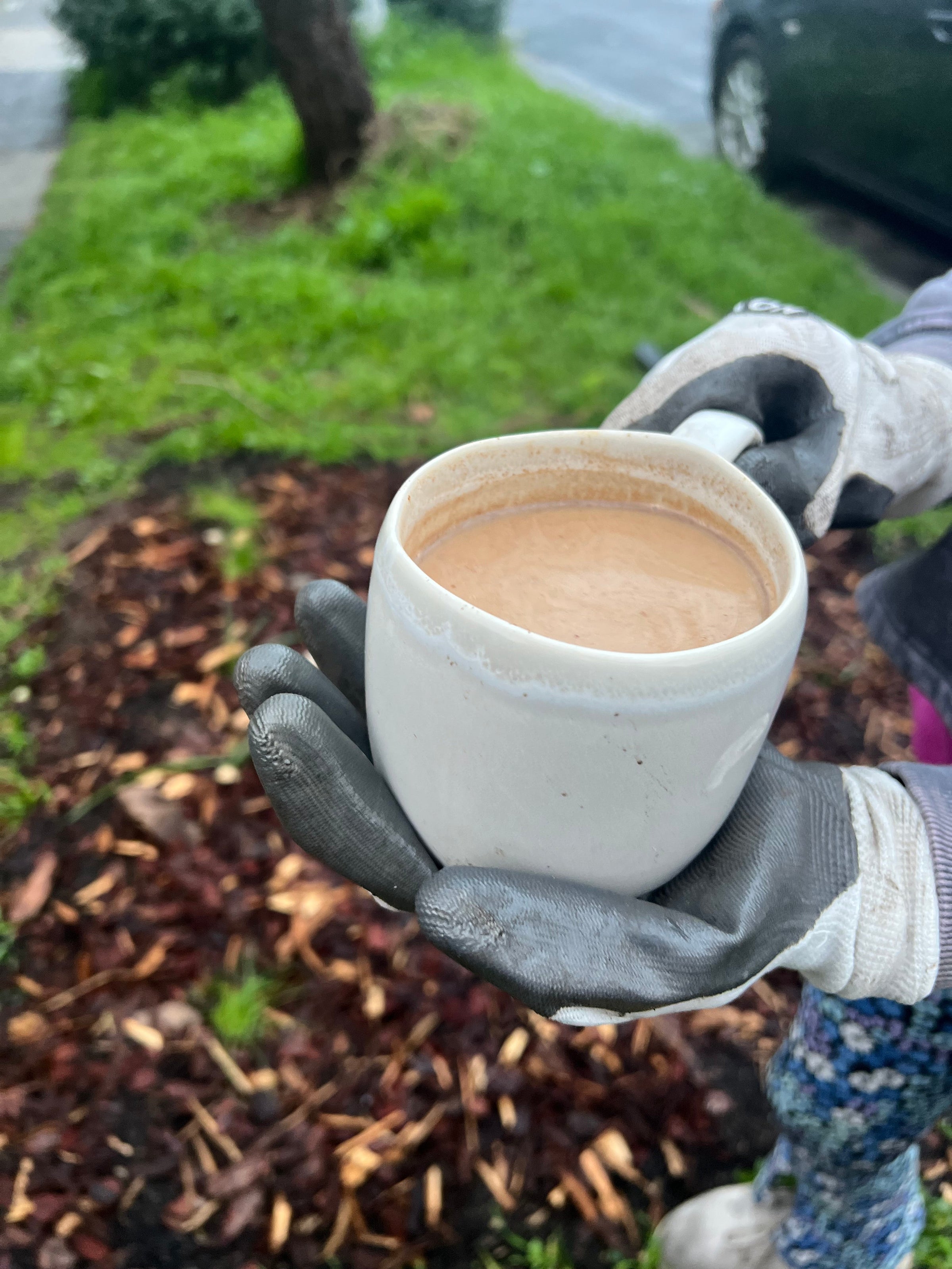Brewing Roots: How Gardening and Chai Grow Connection and Calm
